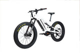 BAKCOU SCOUT EBIKE