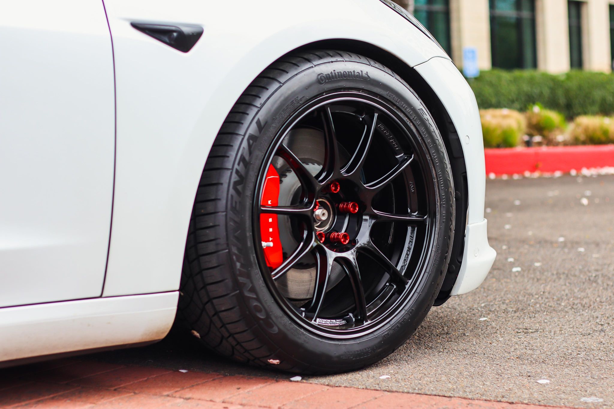 WedsSport TC105X Exclusive [18x9.5 +34] M14 – MTM Autoworks